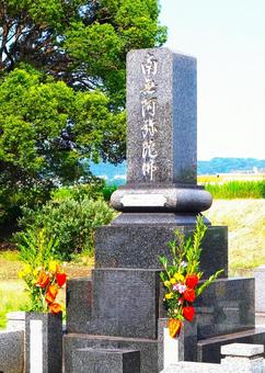 道端の光景(斜め) 道端の光景(斜め)の写真
