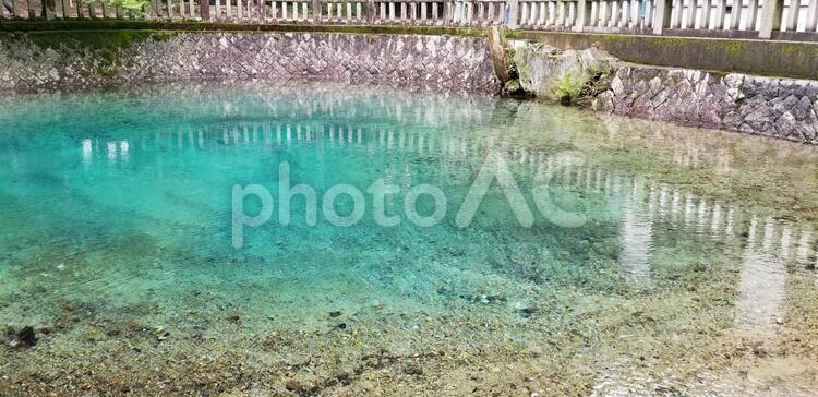 山口県　別府弁天池　 名水百選,別府弁天池,湧き水の写真素材