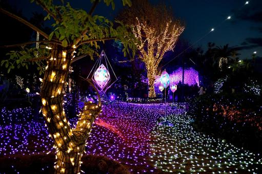 江ノ島キャンドル 江ノ島,神奈川,風景の写真素材