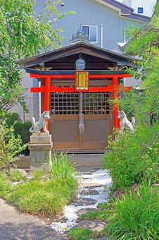 嶺雲寺(品川) 嶺雲寺(品川)の写真
