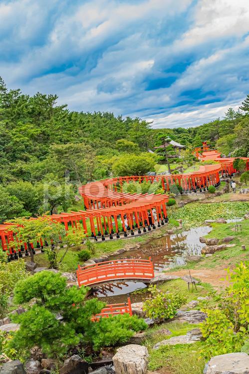 青森県　高山稲荷神社 青森,青森県,観光の写真素材