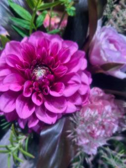 むらさき色の花束の写真