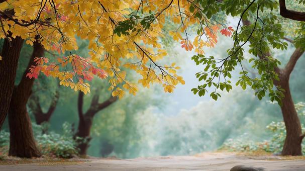 秋色に染まる静かな自然の景観の写真