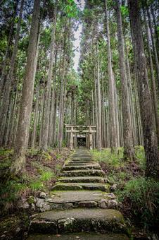 京都　賀茂神社の風景 京都,京都府,京都市の写真素材