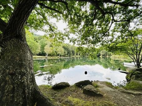 鳥沼公園 鳥沼公園の写真