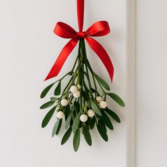 赤いリボンのヤドリギ 赤いリボンのヤドリギの写真