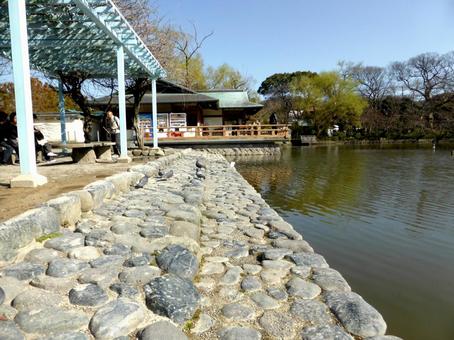 鶴岡八幡宮・源氏池の休憩所と岸辺 鶴岡八幡宮・源氏池の休憩所と岸辺 源氏池,鶴岡八幡宮,鎌倉市の写真素材