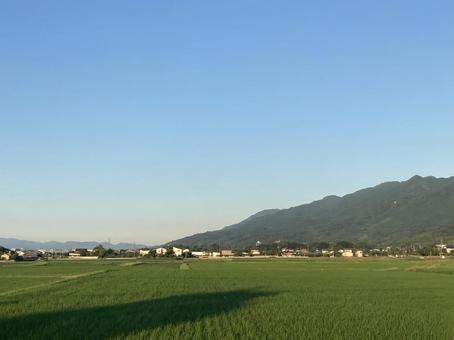 青と緑のグラデーション 青と緑のグラデーションの写真