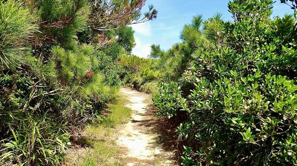 Mihanahara Promenade in the Kerama Islands of Tokashiki Island, Okinawa Prefecture, JPG