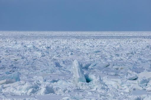 流氷で埋め尽くされたオホーツク海 流氷で埋め尽くされたオホーツク海 流氷,氷原,氷の写真素材