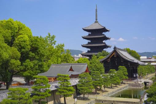 世界遺産 東寺の壮大な五重塔と夏空 世界遺産 東寺の壮大な五重塔と夏空 東寺,五重塔,世界遺産の写真素材