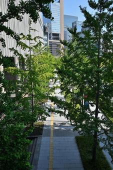 グリーンインフラとオフィス街 グリーンインフラとオフィス街 歩道,遊歩道,点字ブロックの写真素材