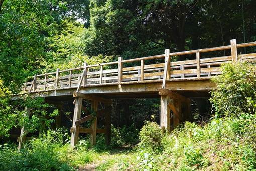 近くの公園散歩3の写真