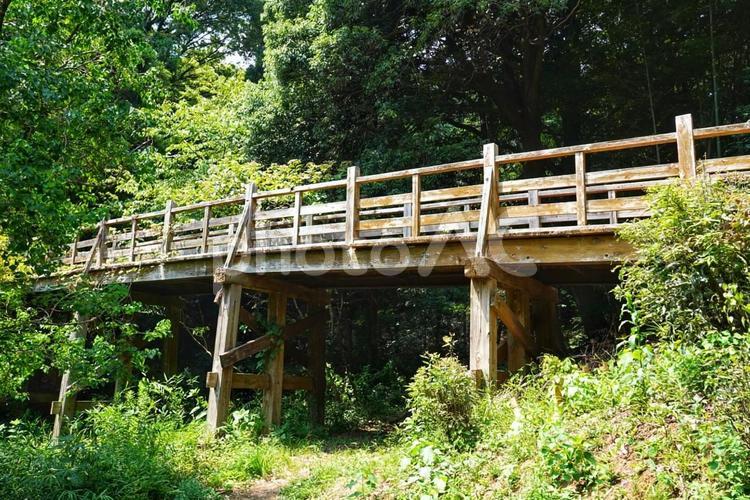 近くの公園散歩3 風景,景色,山の写真素材
