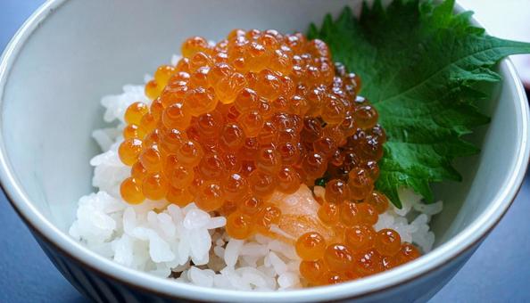 ご飯にイクラをたっぷりのせて食べる ご飯にイクラをたっぷりのせて食べるの写真