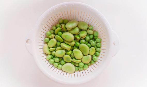 豆たち 豆たちの写真