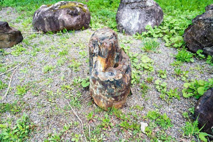 石川県白山市・桑島化石壁附近の滝 白峰,化石,珪化木の写真素材