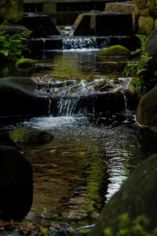 小さな小川 小さな小川の写真