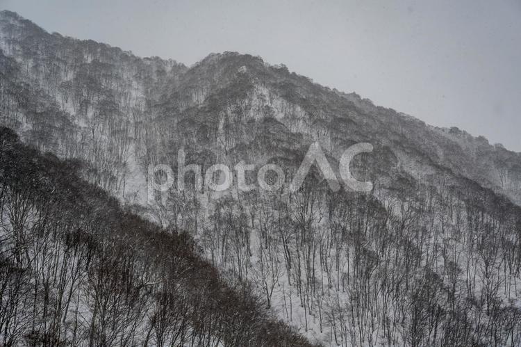 谷川岳ロープウェイから見た景色 谷川岳,ロープウェイ,銀世界の写真素材