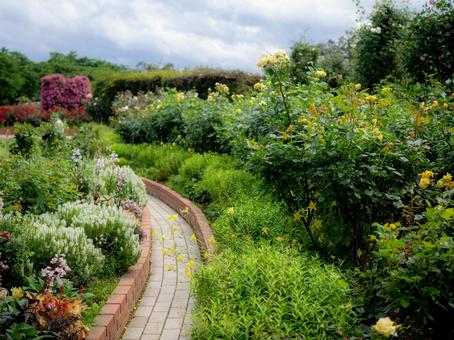 A park path decorated with flowers, JPG A park path decorated with flowers, JPG