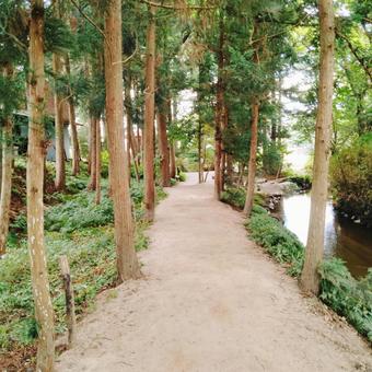 カッパ淵の風景 2025 カッパ淵の風景 2025 カッパ淵,小川,河童伝説の写真素材