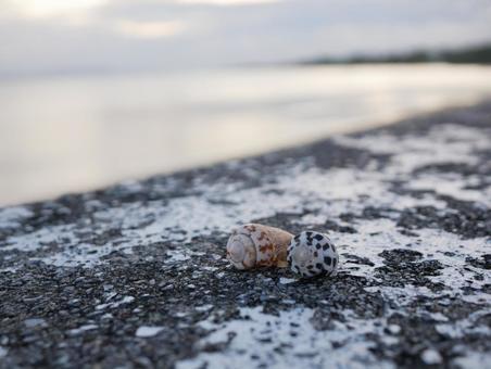 海 海の写真