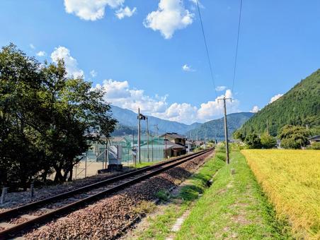 “黄金色の垂り穂沿い”を走る、晩夏の線路 線路,単線,稲穂の写真素材