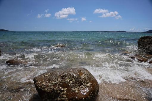 海辺 海辺の写真