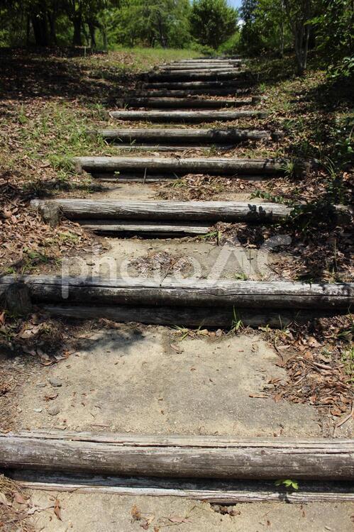 山へ登る階段 階段,山,上りの写真素材