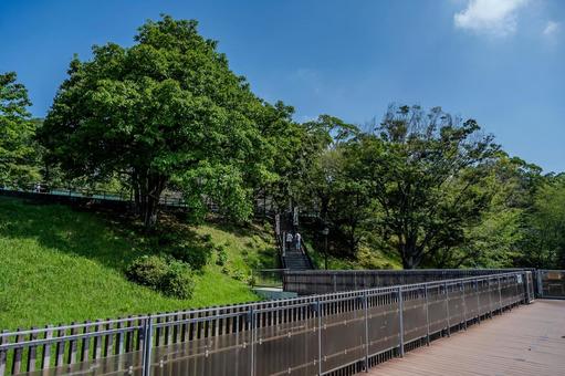 熊本城周辺の景色 熊本城周辺の景色 熊本城,人,観光地の写真素材