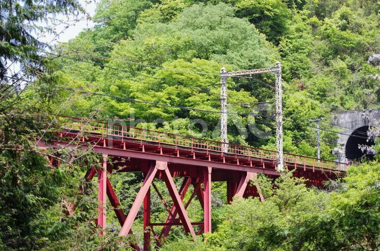 新緑の中の赤い鉄道鉄橋とトンネル 鉄橋,鉄道,鉄道旅行の写真素材