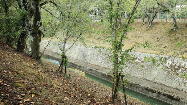 琵琶湖第１疏水水路（大津市側） 琵琶湖疏水,日本遺産,第１疏水の写真素材