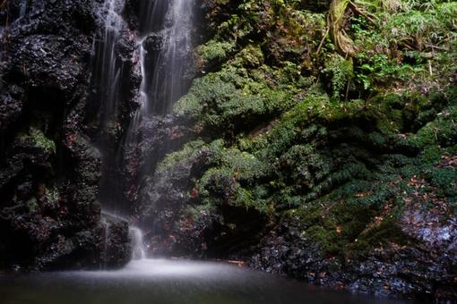 苔生す岩と滝の風景 苔生す岩と滝の風景の写真