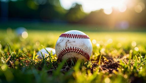 野球ボール 野球ボールの写真