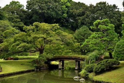 庭園 庭園の写真