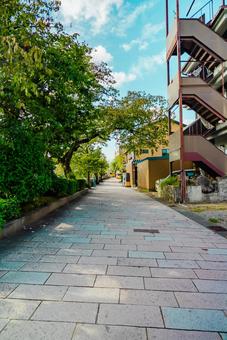 【石川】ひがし茶屋街の街並み 石川,金沢,ひがし茶屋街の写真素材