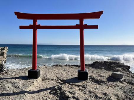 伊豆_鳥居_1の写真