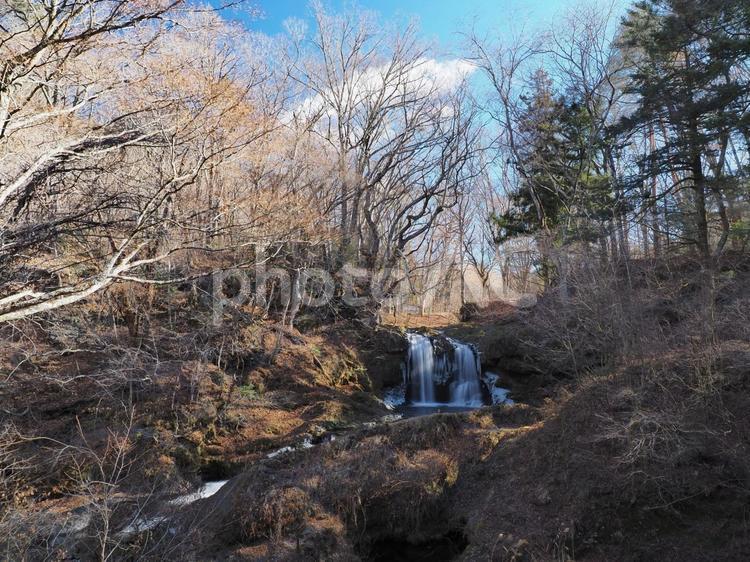 葉を落とした木々と清らかな滝の風景 茶色の冬景色,冬期の鐘山の滝,氷柱の写真素材