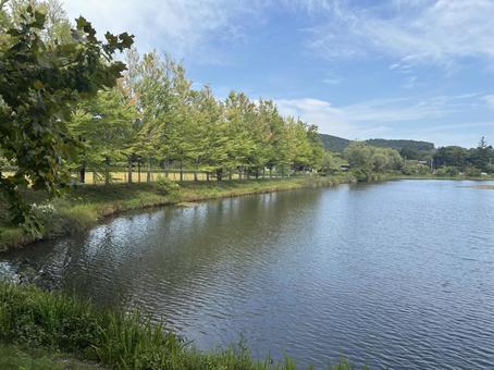 長野県軽井沢町 矢ヶ崎公園-3 長野県軽井沢町 矢ヶ崎公園-3の写真