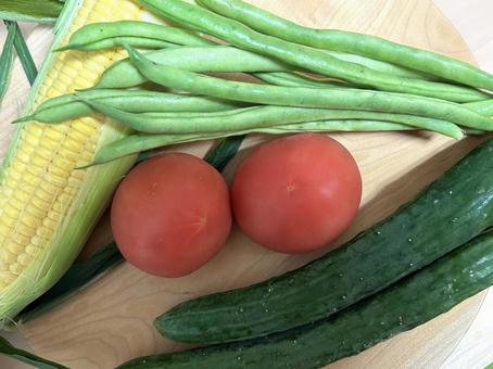 旬の夏野菜いろいろ 旬の夏野菜いろいろの写真