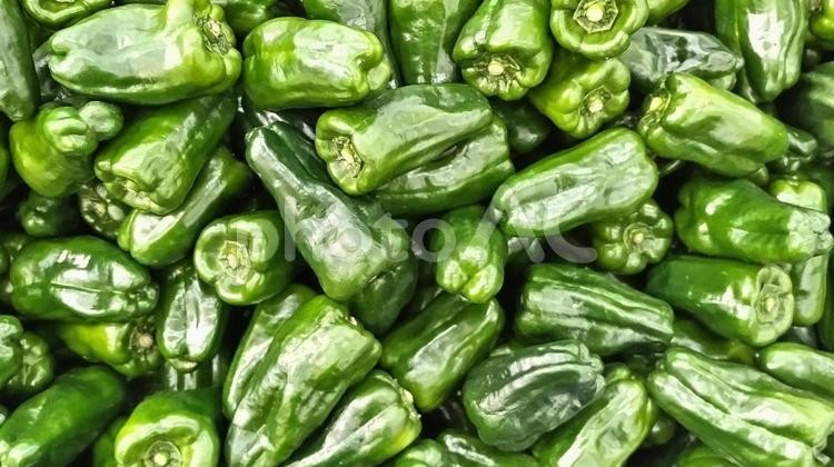 大量のピーマン ピーマン,大量,複数の写真素材