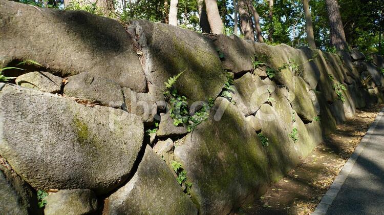 木漏れ日が降り注ぐ石垣イメージ 石垣,石,苔の写真素材