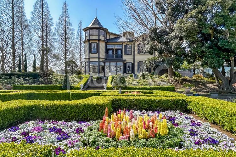 美しい花と緑に囲まれた横浜の外交官の家 外交官の家,洋風建築,洋館の写真素材