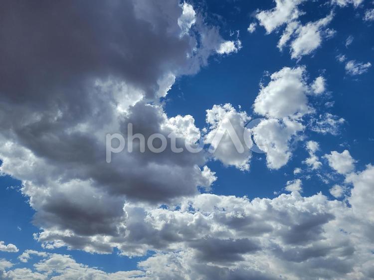 青空ともくもくした雲 雲,空,青空の写真素材