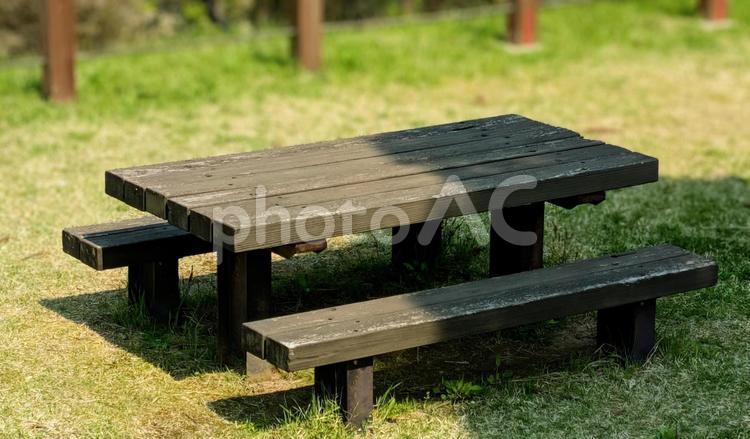 春の日差しと公園のベンチ ピクニック,公園,木製ベンチの写真素材