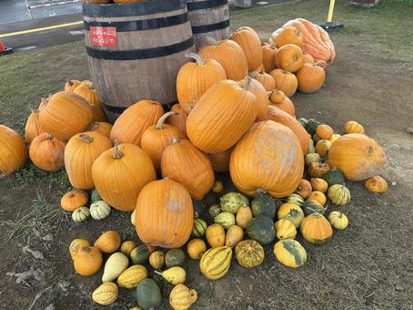 ハロウィンのかぼちゃ ハロウィン,カボチャ,かぼちゃの写真素材