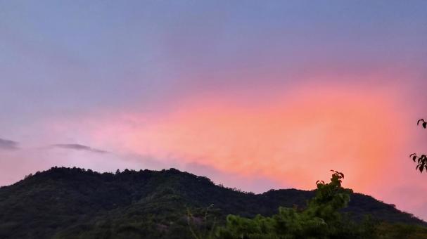 染まる夏の写真