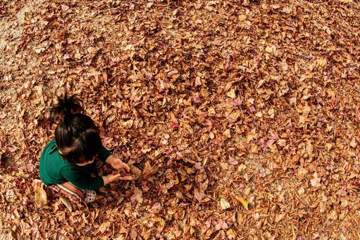 Child picking up fallen leaves, JPG