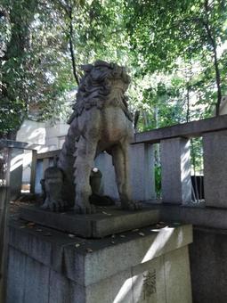 渋谷氷川の狛犬吽 渋谷氷川の狛犬吽の写真