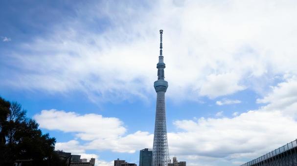 東京スカイツリーと青空　東京都墨田区 スカイツリー,東京スカイツリー,東京の写真素材